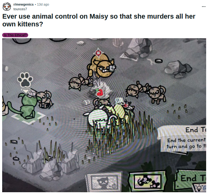 Maisy animal control